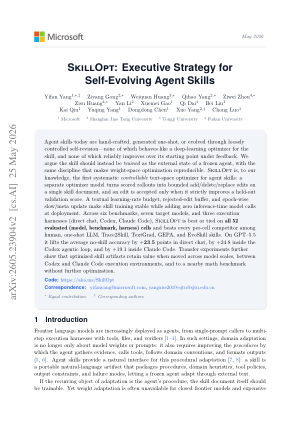 SkillOpt: Executive Strategy for Self-Evolving Agent Skills