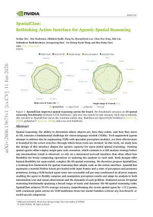 SpatialClaw: Rethinking Action Interface for Agentic Spatial Reasoning