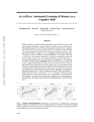 AutoMem: Automated Learning of Memory as a Cognitive Skill